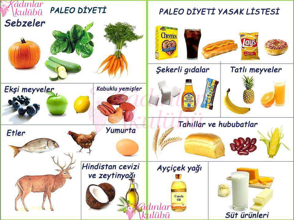 paleo diyet listesi