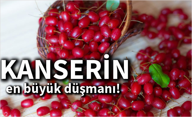 kanserle_savasan_9_besin