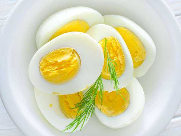 Yumurta Diyeti İle 1 Haftada 7 Kilo 