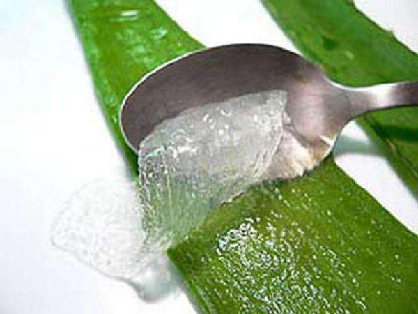 genital_herpes_bitkisel_tedavi (3)