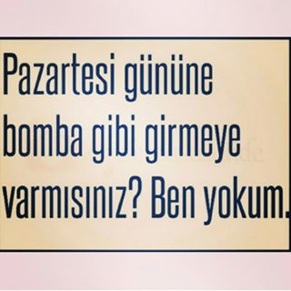 pazartesi_sendromu_resimleri_icin_en_guzel_ornekler (3)