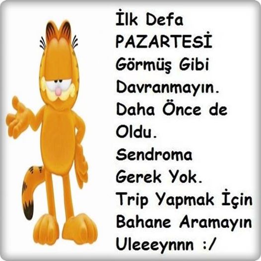 pazartesi_sendromu_resimleri_icin_en_guzel_ornekler (7)