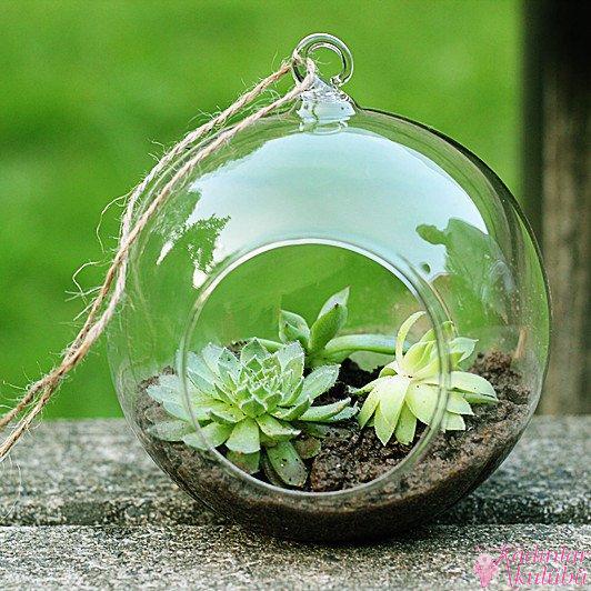 terrarium_yapimi_icin_en_guzel_30_ornek (14)