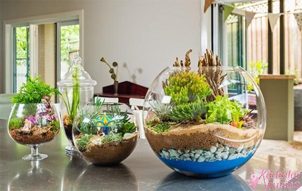 terrarium_yapimi_icin_en_guzel_30_ornek (15)