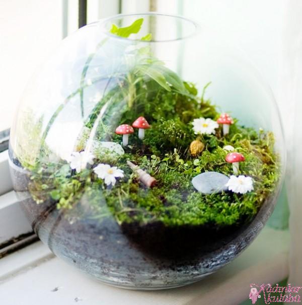 terrarium_yapimi_icin_en_guzel_30_ornek (16)