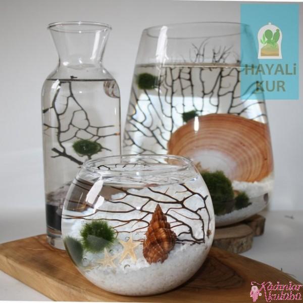 terrarium_yapimi_icin_en_guzel_30_ornek (17)