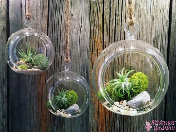 terrarium_yapimi_icin_en_guzel_30_ornek (19)