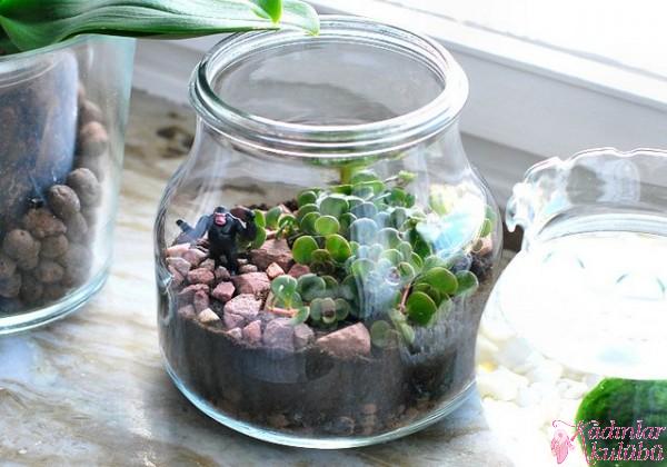 terrarium_yapimi_icin_en_guzel_30_ornek (20)