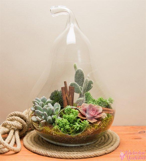 terrarium_yapimi_icin_en_guzel_30_ornek (21)