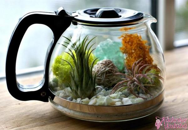 terrarium_yapimi_icin_en_guzel_30_ornek (22)