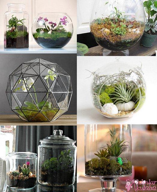 terrarium_yapimi_icin_en_guzel_30_ornek (25)