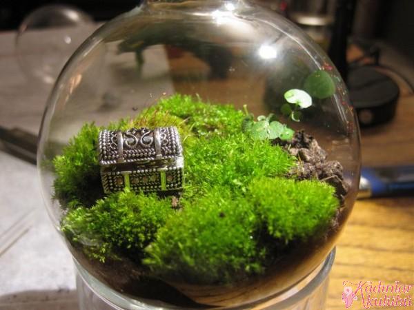 terrarium_yapimi_icin_en_guzel_30_ornek (26)