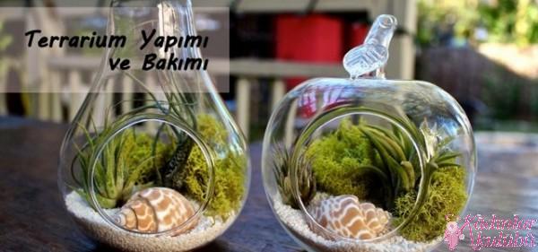 terrarium_yapimi_icin_en_guzel_30_ornek (28)