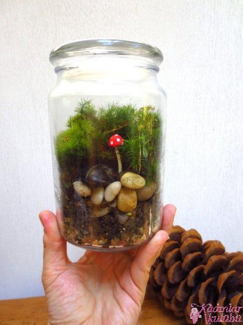 terrarium_yapimi_icin_en_guzel_30_ornek (31)