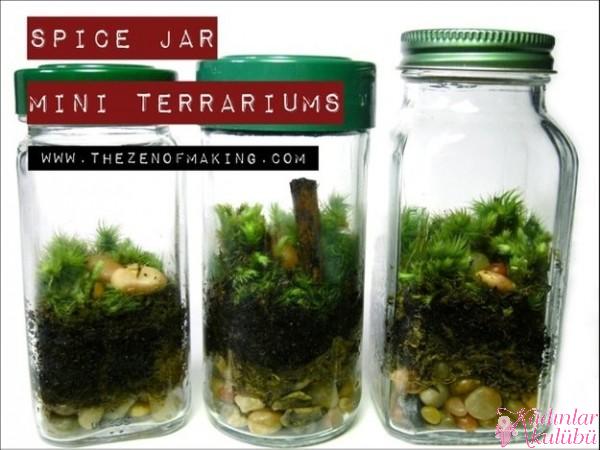 terrarium_yapimi_icin_en_guzel_30_ornek (7)