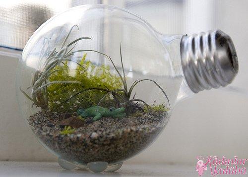 terrarium_yapimi_icin_en_guzel_30_ornek (8)