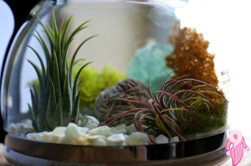 terrarium_caydanlik_yapimi