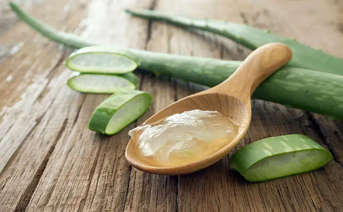 aloe-vera.webp
