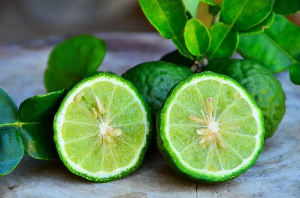 bergamot_zayiflatir_mi.webp