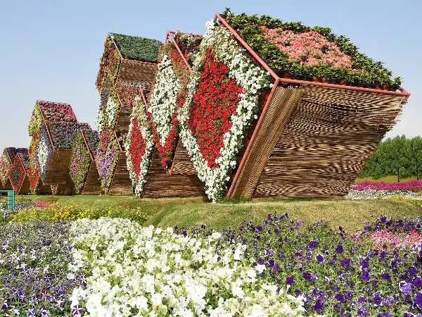 miracle-garden.webp