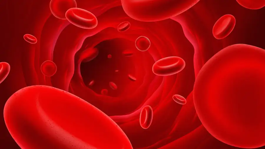 Ferritin_yuksekligi_nedenleri_tedavisi_nasil_dusulur.webp
