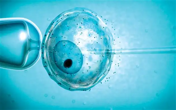 tup-bebek_tedavisi_genetik_tarama_gebelik_hamilelik_embriyo.webp