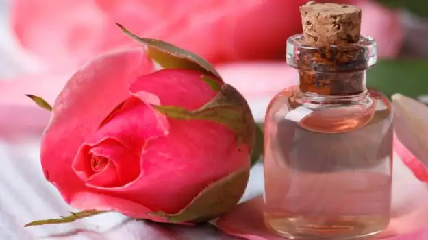 Gul_Suyu_ile_Yuz_Temizleme_Ve_Sivilce_Maskesi.webp