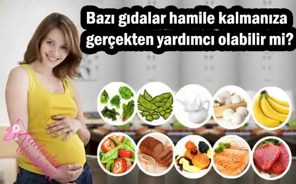 bazi_gidalar_hamile_kalmaniza_gercekten_yardimci_oluyor_mu.webp