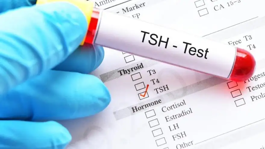 gebelikte_hamilelikte_tsh_testi_dusuklugu_yuksekligi_tedavisi.webp