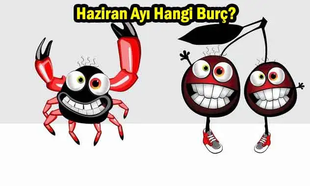 haziran_ayi_hangi_burc_ikizler_mi_yengec_mi.webp