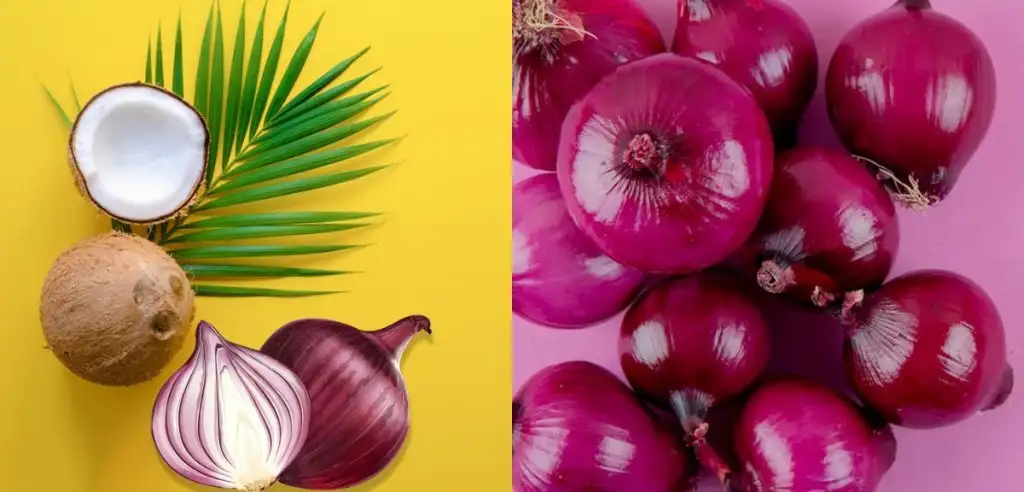 hindistancevizi_yagi_ve_sogan_kepekten_kurtulma.webp