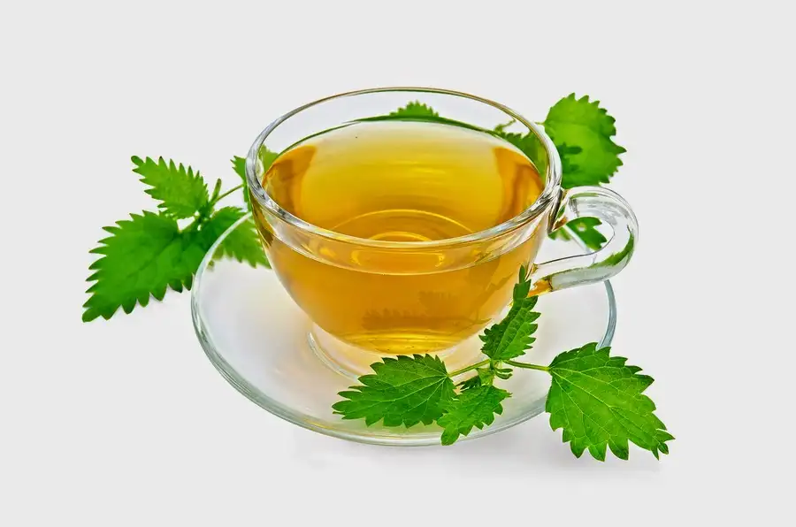 isirgan_otu_cayi_nasil_hazirlanir_faydalari_zararlari_nelerdir_yan_etkileri_neye_iyi_gelir.webp
