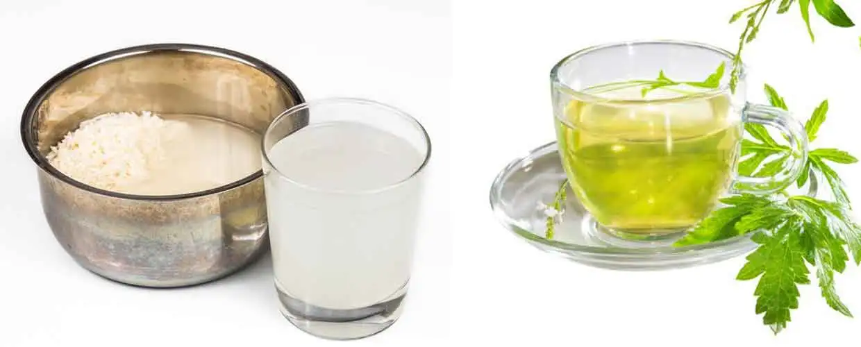 japonlarin_guzellik_sirlari_pirinc_suyu_ve_yesil_cay_maskesi.webp