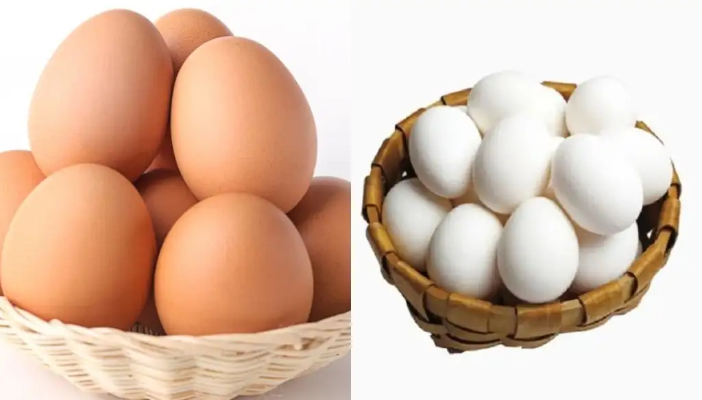 kahverengi_yumurta_mi_beyaz_yumurta_mi_saglikli.webp