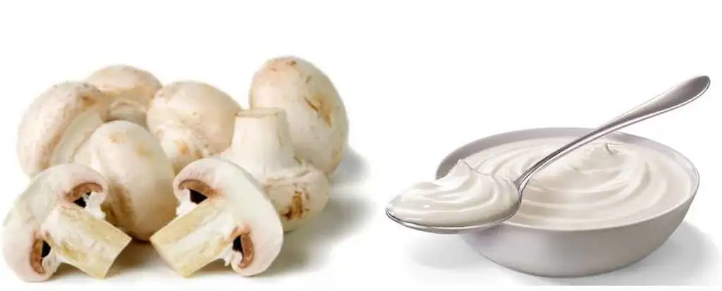 mantarla_yogurt_zehirler_mi.webp