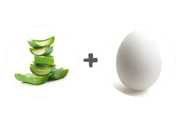 yumurta_aloe_vera_sac_maskesi_tarifi.webp