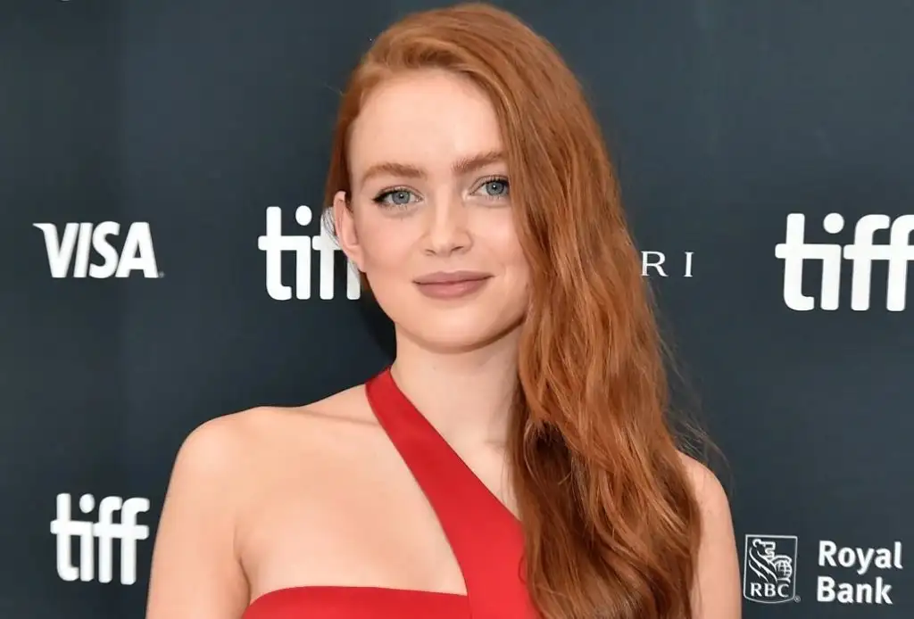 Sadie Sink Moda Netflix (2).webp