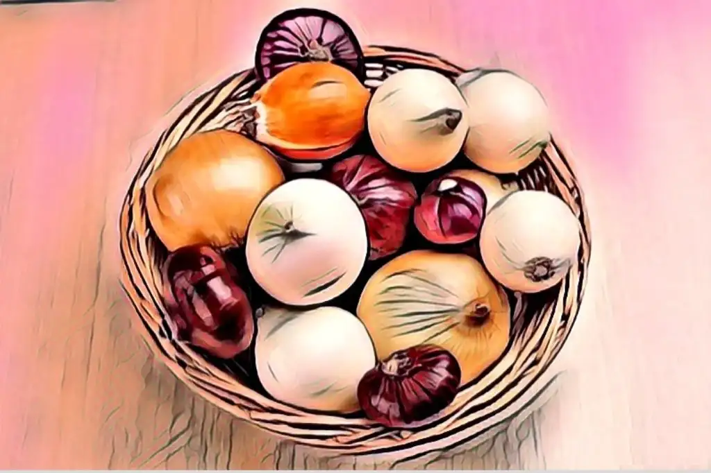 sogan_cayi_nasil_yapilir_faydalari_nelerdir.webp