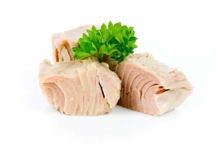 ton_baligi_diyeti_nasil_yapilir_zayiflama_kilo_verme.webp