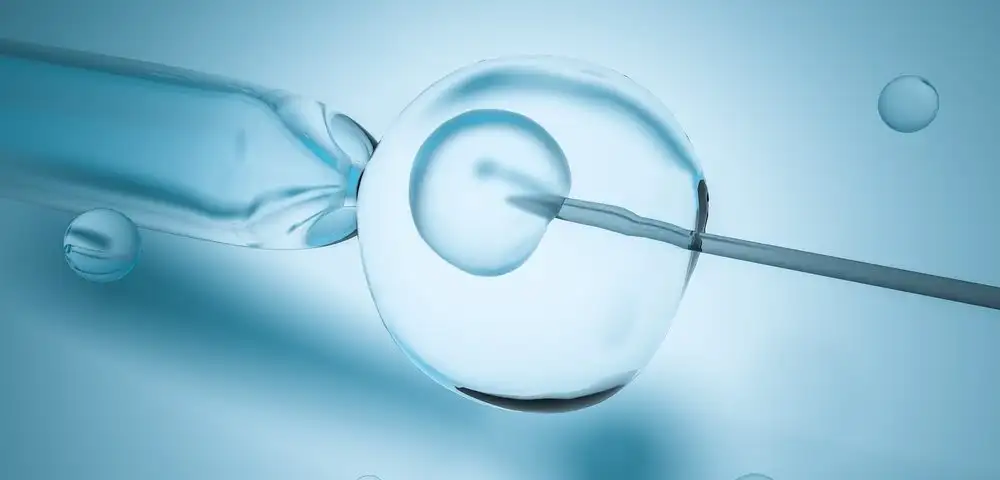 tup_bebek_tedavisi_yumurta_toplama_ebriyo_transferi.webp