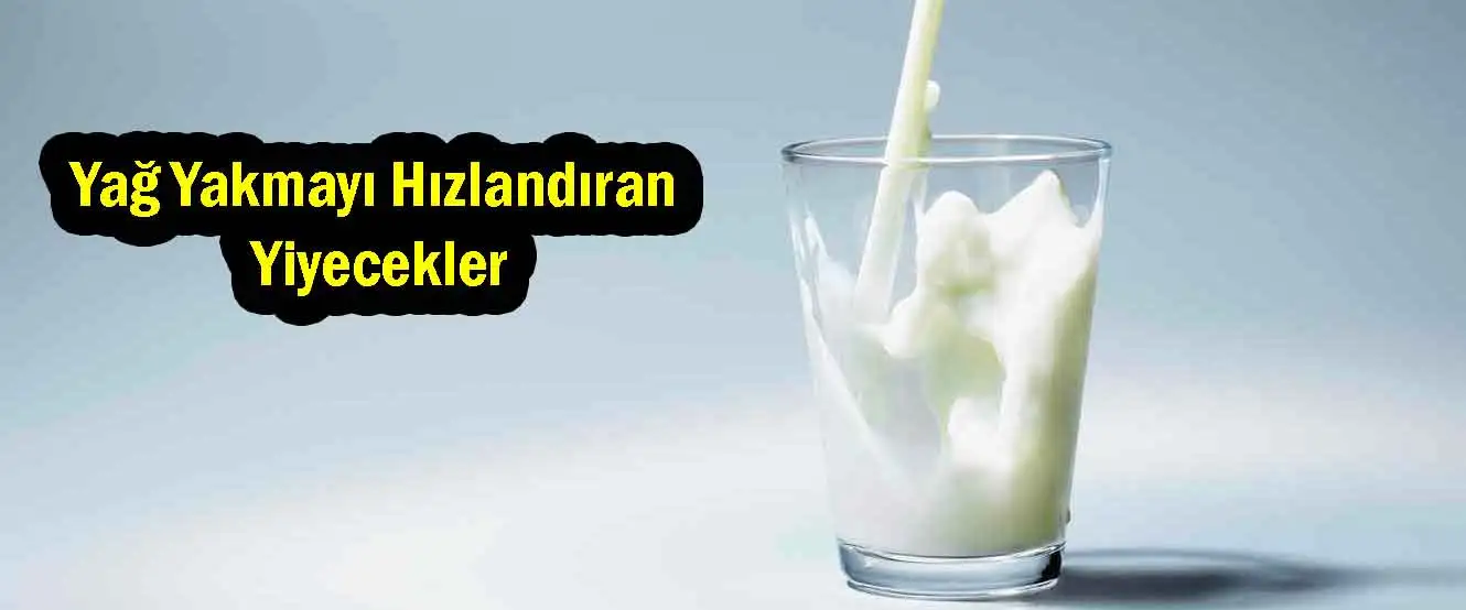 yag_yakmayi_hizlandiran_yiyecekler_kilo_verme.webp