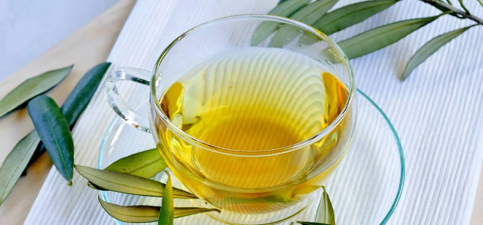 zeytin_yapragi_cayi_zayiflama_kilo_verme_kuru.webp