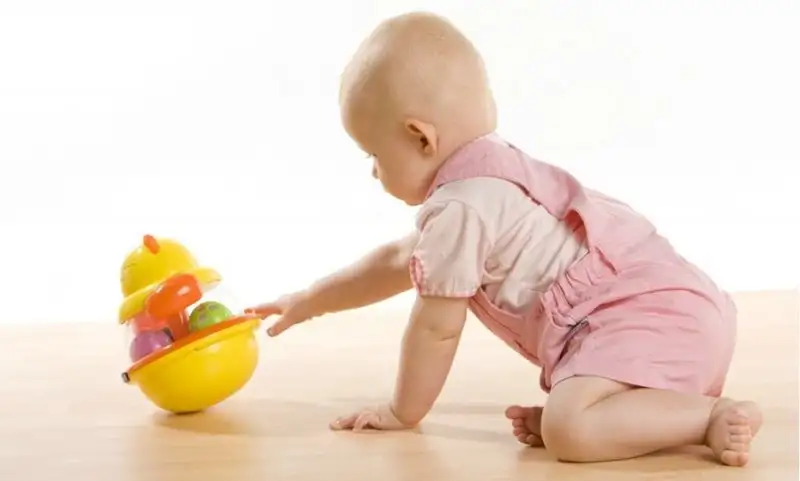 0000850_900.webp