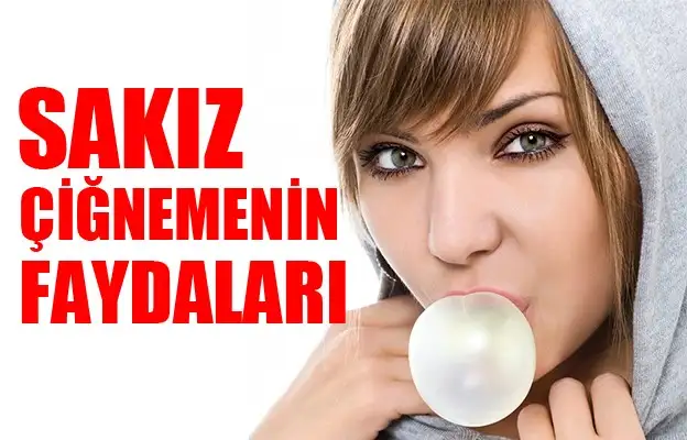 00SAKIZ.webp