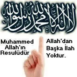 01.webp