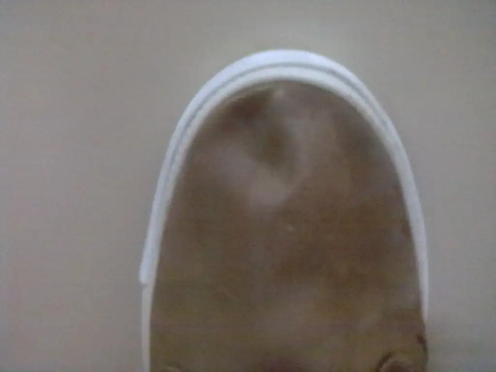 011.webp