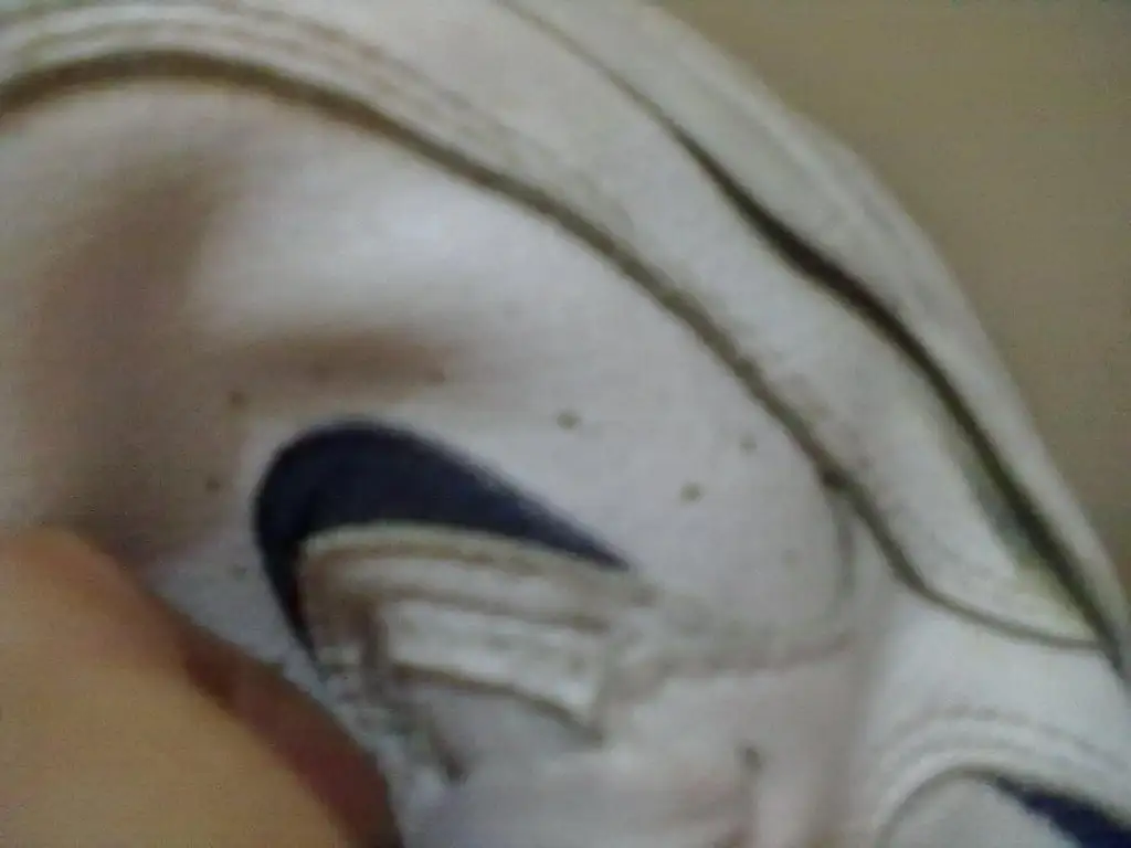014.webp