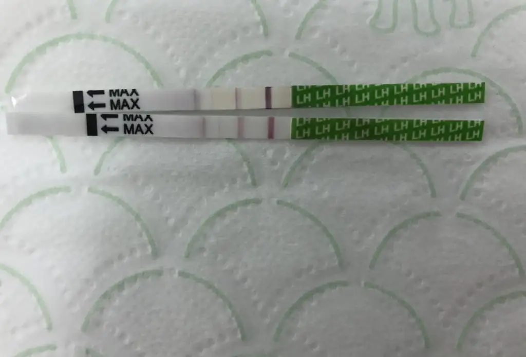 0324451A-CE30-4187-A847-3344C3FAD1D2.webp