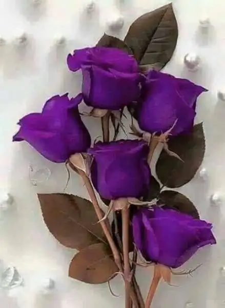 034B82B9-0A7A-49EA-BBAA-8B2064328A39.webp