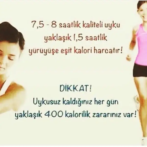 04743139a537d8262b07aea63069c3b3.webp